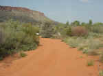 Alice Springs Desert Park 1.JPG (39811 Byte)